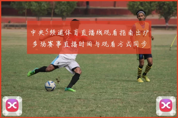 中央5频道体育直播线观看指南出炉 多场赛事直播时间与观看方式同步更新